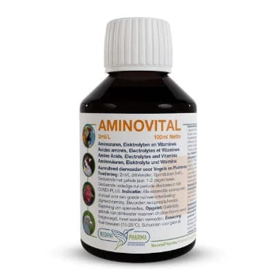 Aminovotal